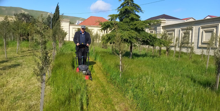 Binəqədi rayonunda 18 aprel 2026-cı il tarixində növbəti ümumrayon iməciliyi keçirildi