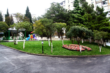 219 saylı körpələr evi-uşaq bağçası