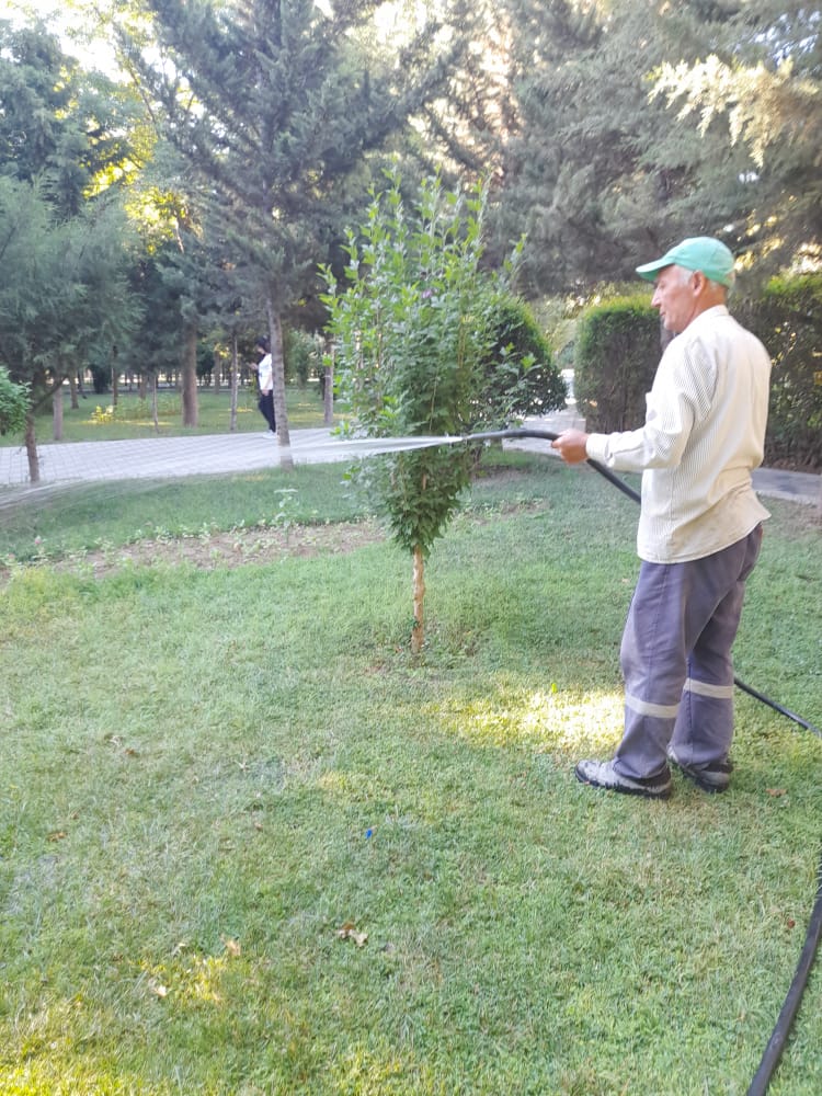 Binəqədi rayonunda gündəlik həyata keçirilən abadlıq və təmizlik işləri davam edir