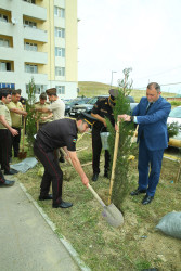 14 may 2025-ci il tarixində Xocəsən qəsəbəsində ağacəkmə aksiyası