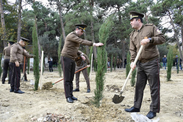 Binəqədi rayonu Ramiz Aboyev adına mədəniyyət və istirahət parkında Ümummilli Lider Heydər Əliyevin anadan olmasının 100-cü ildönümü münasibətilə ağacəkmə aksiyası