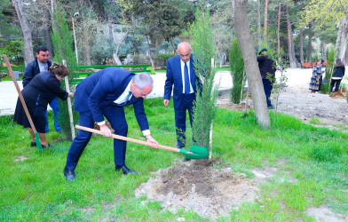 M.Ə.Rəsulzadə qəsəbəsi, Ramiz Aboyev adına mədəniyyət və istirahət parkında ağacəkmə aksiyası