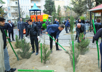 Binəqədi rayonunda yeni yaradılmış nümunəvi məhəllədə “Heydər Əliyev İli” çərçivəsində 8 Noyabr-Zəfər Gününə həsr olunmuş ağacəkmə aksiyası