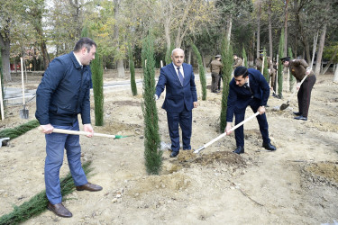 Binəqədi rayonu Ramiz Aboyev adına mədəniyyət və istirahət parkında Ümummilli Lider Heydər Əliyevin anadan olmasının 100-cü ildönümü münasibətilə ağacəkmə aksiyası