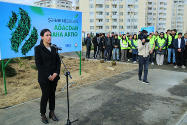 Zəfər Günün beşinci ildönümü münasibətilə ağacəkmə aksiyası