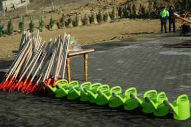 Zəfər Günün beşinci ildönümü münasibətilə ağacəkmə aksiyası