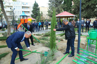 Binəqədi rayonunda yeni yaradılmış nümunəvi məhəllədə “Heydər Əliyev İli” çərçivəsində 8 Noyabr-Zəfər Gününə həsr olunmuş ağacəkmə aksiyası