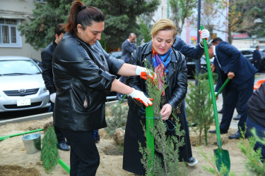 Binəqədi rayonunda yeni yaradılmış nümunəvi məhəllədə “Heydər Əliyev İli” çərçivəsində 8 Noyabr-Zəfər Gününə həsr olunmuş ağacəkmə aksiyası