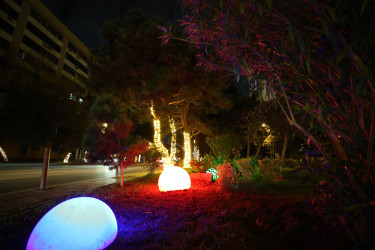 Yenil ilə hazırlıq - 2026