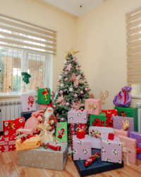 24 dekabr 2025-ci il tarixində “Təmiz Dünya” Qadınlara Yardım İctimai Birliyinin sığınacaq mərkəzində yaşayan uşaqlar üçün bayram şənliyi