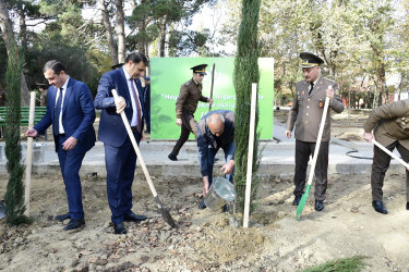 Binəqədi rayonu Ramiz Aboyev adına mədəniyyət və istirahət parkında Ümummilli Lider Heydər Əliyevin anadan olmasının 100-cü ildönümü münasibətilə ağacəkmə aksiyası