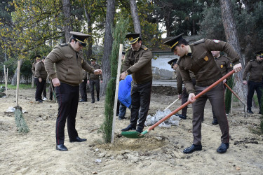 Binəqədi rayonu Ramiz Aboyev adına mədəniyyət və istirahət parkında Ümummilli Lider Heydər Əliyevin anadan olmasının 100-cü ildönümü münasibətilə ağacəkmə aksiyası