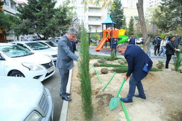 Binəqədi rayonunda yeni yaradılmış nümunəvi məhəllədə “Heydər Əliyev İli” çərçivəsində 8 Noyabr-Zəfər Gününə həsr olunmuş ağacəkmə aksiyası