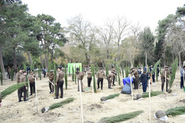 Binəqədi rayonu Ramiz Aboyev adına mədəniyyət və istirahət parkında Ümummilli Lider Heydər Əliyevin anadan olmasının 100-cü ildönümü münasibətilə ağacəkmə aksiyası