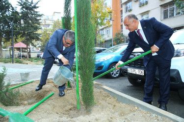 Binəqədi rayonunda yeni yaradılmış nümunəvi məhəllədə “Heydər Əliyev İli” çərçivəsində 8 Noyabr-Zəfər Gününə həsr olunmuş ağacəkmə aksiyası