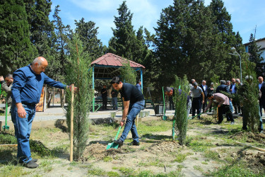 Binəqədi Rayon İcra Hakimiyyəti və Binəqədi bələdiyyəsinin təşkilatçılığı ilə ağacəkmə aksiyası