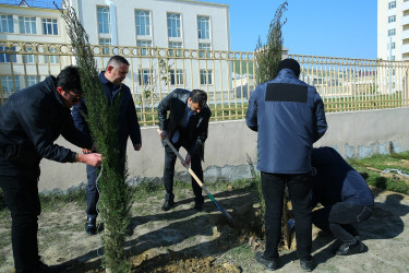 Xocəsən  qəsəbəsi,  Sulutəpə  yaşayış  massivində  yerləşən  şəhid  və  qazi ailələrinin  yaşadıqları  şəhərcikdə ümumilli lider  Heydər  Əliyevin 100 illik  yubileyi ilə əlaqədar ağacəkmə aksiyası