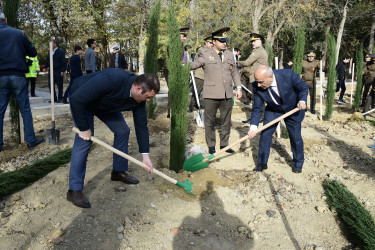 Binəqədi rayonu Ramiz Aboyev adına mədəniyyət və istirahət parkında Ümummilli Lider Heydər Əliyevin anadan olmasının 100-cü ildönümü münasibətilə ağacəkmə aksiyası