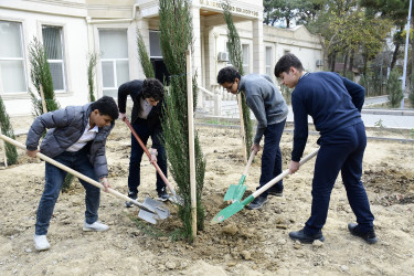 Binəqədi rayonu Ramiz Aboyev adına mədəniyyət və istirahət parkında Ümummilli Lider Heydər Əliyevin anadan olmasının 100-cü ildönümü münasibətilə ağacəkmə aksiyası