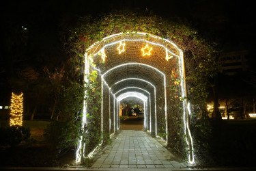 Yenil ilə hazırlıq - 2026