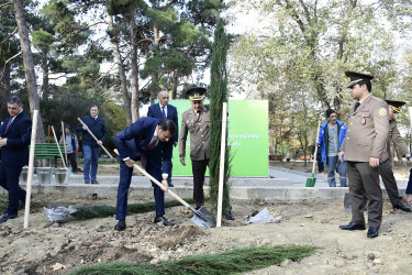 Binəqədi rayonu Ramiz Aboyev adına mədəniyyət və istirahət parkında Ümummilli Lider Heydər Əliyevin anadan olmasının 100-cü ildönümü münasibətilə ağacəkmə aksiyası