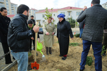 Zəfər Günün beşinci ildönümü münasibətilə ağacəkmə aksiyası