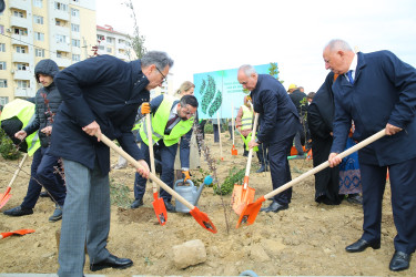 Zəfər Günün beşinci ildönümü münasibətilə ağacəkmə aksiyası