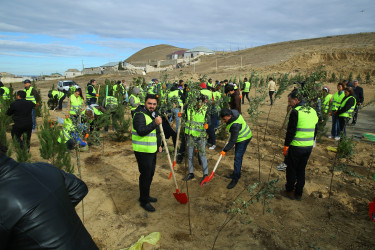 Zəfər Günün beşinci ildönümü münasibətilə ağacəkmə aksiyası