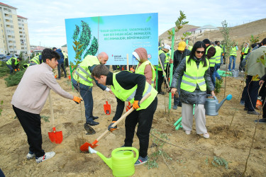 Zəfər Günün beşinci ildönümü münasibətilə ağacəkmə aksiyası
