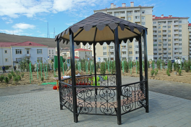 Zəfər Günün beşinci ildönümü münasibətilə ağacəkmə aksiyası