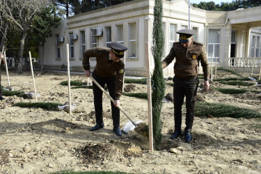 Binəqədi rayonu Ramiz Aboyev adına mədəniyyət və istirahət parkında Ümummilli Lider Heydər Əliyevin anadan olmasının 100-cü ildönümü münasibətilə ağacəkmə aksiyası