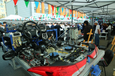 “Bir Peşənin Sirri” festivalı