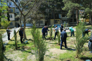 Binəqədi Rayon İcra Hakimiyyəti və Binəqədi bələdiyyəsinin təşkilatçılığı ilə ağacəkmə aksiyası