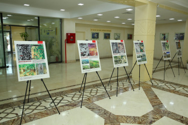 23 iyul 2025-ci il tarixində Binəqədi rayonunda “Konstitusiya və Suverenlik İli” çərçivəsində “Qərbi Azərbaycan İrsi: Ermənistanda azərbaycanlılara məxsus qəbiristanlıqların sistemli qaydada dağıdılmasının nəticələri və  beynəlxalq hüquqi məsuliyyətə dair” hesabat və materiallar kitabının I cildinin təqdimat mərasimi