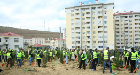 Zəfər Günün beşinci ildönümü münasibətilə ağacəkmə aksiyası