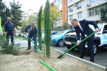 Binəqədi rayonunda yeni yaradılmış nümunəvi məhəllədə “Heydər Əliyev İli” çərçivəsində 8 Noyabr-Zəfər Gününə həsr olunmuş ağacəkmə aksiyası