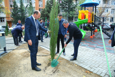 Binəqədi rayonunda yeni yaradılmış nümunəvi məhəllədə “Heydər Əliyev İli” çərçivəsində 8 Noyabr-Zəfər Gününə həsr olunmuş ağacəkmə aksiyası