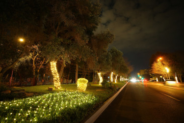 Yenil ilə hazırlıq - 2026