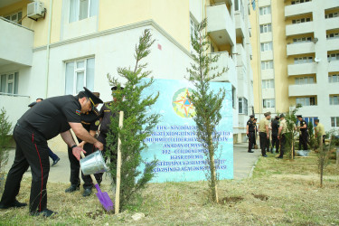 14 may 2025-ci il tarixində Xocəsən qəsəbəsində ağacəkmə aksiyası