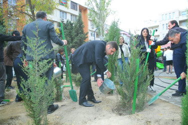 Binəqədi rayonunda yeni yaradılmış nümunəvi məhəllədə “Heydər Əliyev İli” çərçivəsində 8 Noyabr-Zəfər Gününə həsr olunmuş ağacəkmə aksiyası