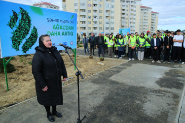 Zəfər Günün beşinci ildönümü münasibətilə ağacəkmə aksiyası