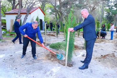 M.Ə.Rəsulzadə qəsəbəsi, Ramiz Aboyev adına mədəniyyət və istirahət parkında ağacəkmə aksiyası