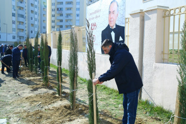 Xocəsən  qəsəbəsi,  Sulutəpə  yaşayış  massivində  yerləşən  şəhid  və  qazi ailələrinin  yaşadıqları  şəhərcikdə ümumilli lider  Heydər  Əliyevin 100 illik  yubileyi ilə əlaqədar ağacəkmə aksiyası