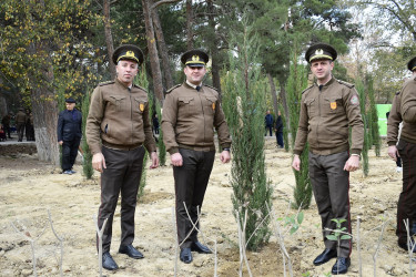 Binəqədi rayonu Ramiz Aboyev adına mədəniyyət və istirahət parkında Ümummilli Lider Heydər Əliyevin anadan olmasının 100-cü ildönümü münasibətilə ağacəkmə aksiyası