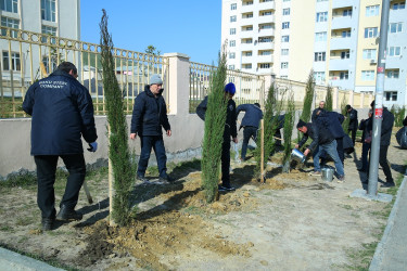 Xocəsən  qəsəbəsi,  Sulutəpə  yaşayış  massivində  yerləşən  şəhid  və  qazi ailələrinin  yaşadıqları  şəhərcikdə ümumilli lider  Heydər  Əliyevin 100 illik  yubileyi ilə əlaqədar ağacəkmə aksiyası