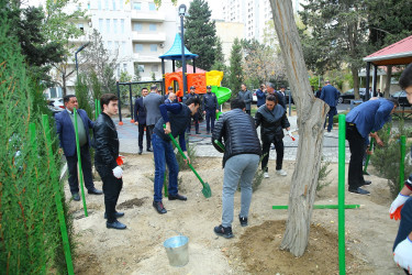 Binəqədi rayonunda yeni yaradılmış nümunəvi məhəllədə “Heydər Əliyev İli” çərçivəsində 8 Noyabr-Zəfər Gününə həsr olunmuş ağacəkmə aksiyası