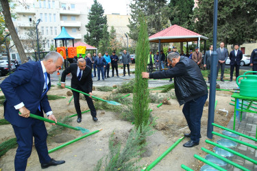 Binəqədi rayonunda yeni yaradılmış nümunəvi məhəllədə “Heydər Əliyev İli” çərçivəsində 8 Noyabr-Zəfər Gününə həsr olunmuş ağacəkmə aksiyası