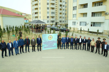 14 may 2025-ci il tarixində Xocəsən qəsəbəsində ağacəkmə aksiyası