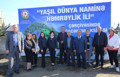 23 oktyabr 2024-cü il tarixində Biləcəri qəsəbəsində ağacəkmə aksiyası
