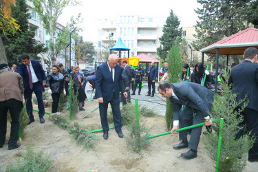 Binəqədi rayonunda yeni yaradılmış nümunəvi məhəllədə “Heydər Əliyev İli” çərçivəsində 8 Noyabr-Zəfər Gününə həsr olunmuş ağacəkmə aksiyası